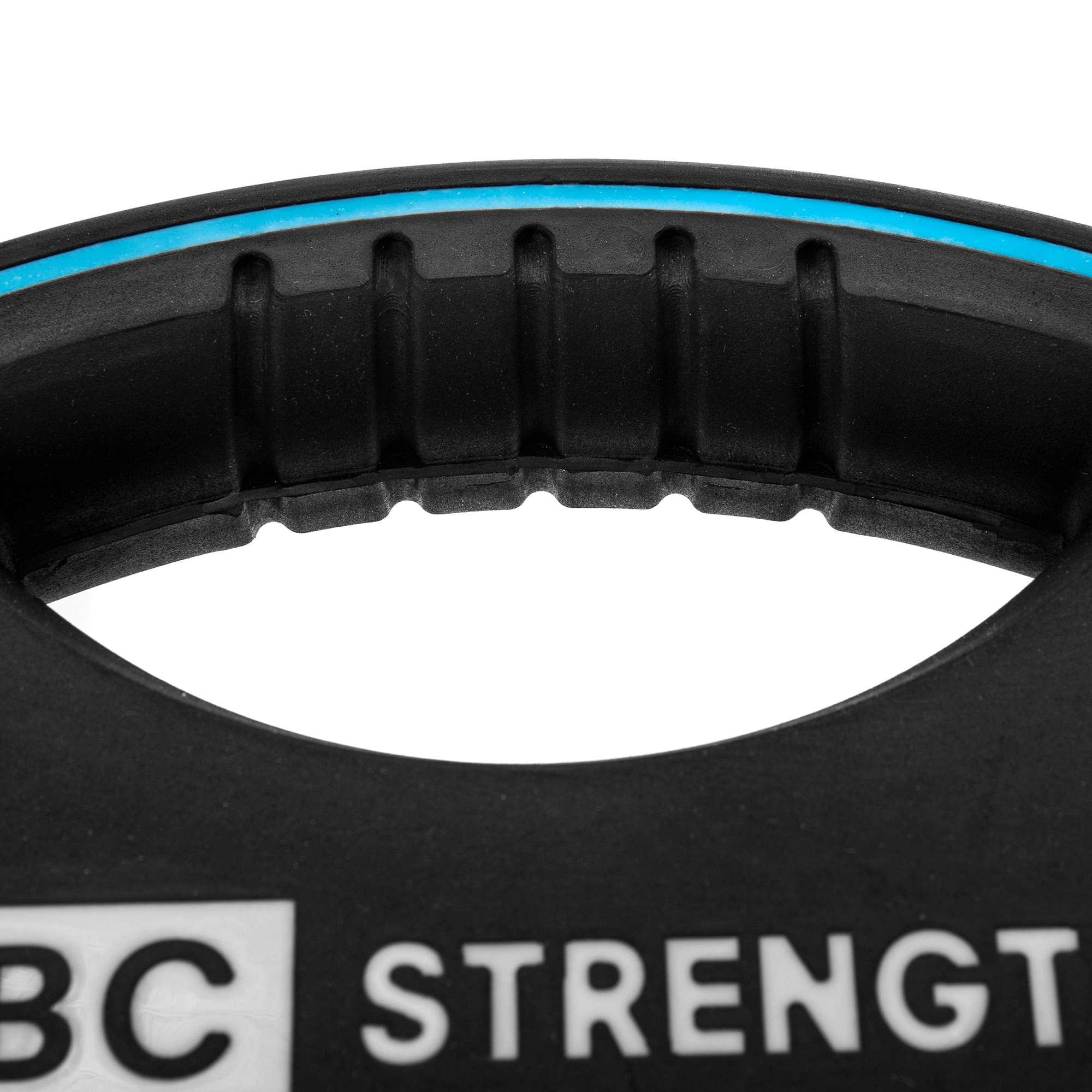 25lb Weight Plate (Fitness product)