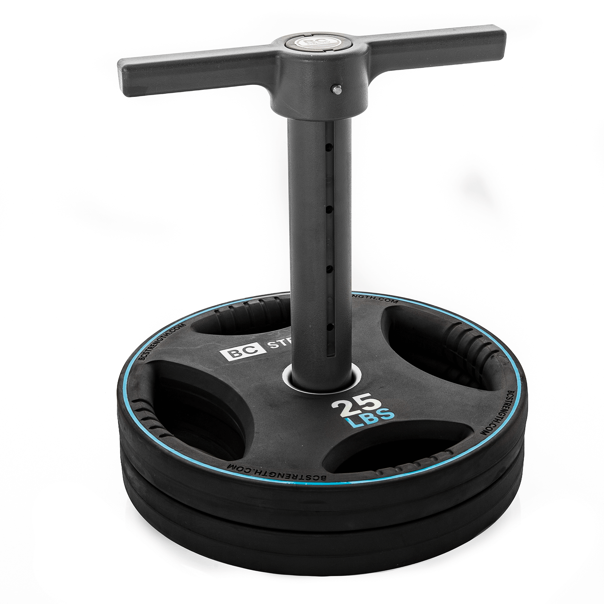 25lb Weight Plate (Fitness product)