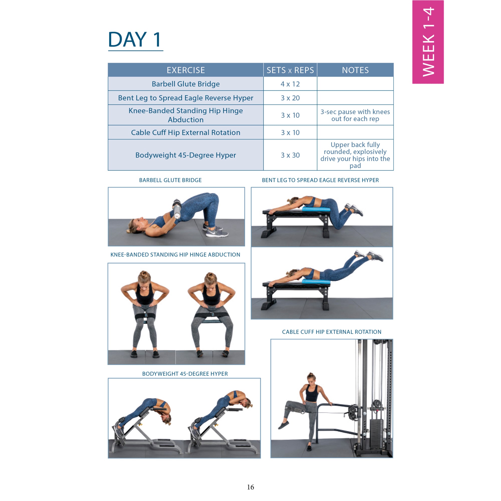 Grow Your Glutes without Growing Your Legs 12 Week Program eBook